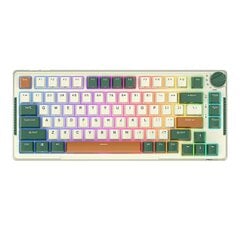 Wireless mechanical keyboard Royal Kludge RKH81 RGB, Sky cyan switch (green) цена и информация | Клавиатуры | 220.lv