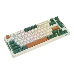 Wireless mechanical keyboard Royal Kludge RKH81 RGB, Sky cyan switch (green) цена и информация | Клавиатуры | 220.lv