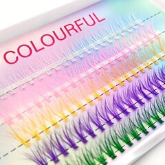 Pielīmējamas skropstas pušķīšos Colourful, 10 - 12 mm cena un informācija | Mākslīgās skropstas, skropstu atliecēji | 220.lv