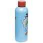 Bērnu ūdens pudele karstajiem un aukstajiem dzērieniem Asterix & Obelix, 530 ml цена и информация | Ūdens pudeles | 220.lv