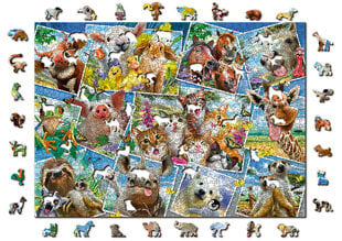 Koka puzle ar figūrām Wooden City Pastkartes ar dzīvniekiem, 1010 d. цена и информация | Пазлы | 220.lv