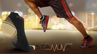 Компрессионные носки для бега Physix Gear Sport, 2 пары S/M цена и информация | Мужские носки | 220.lv