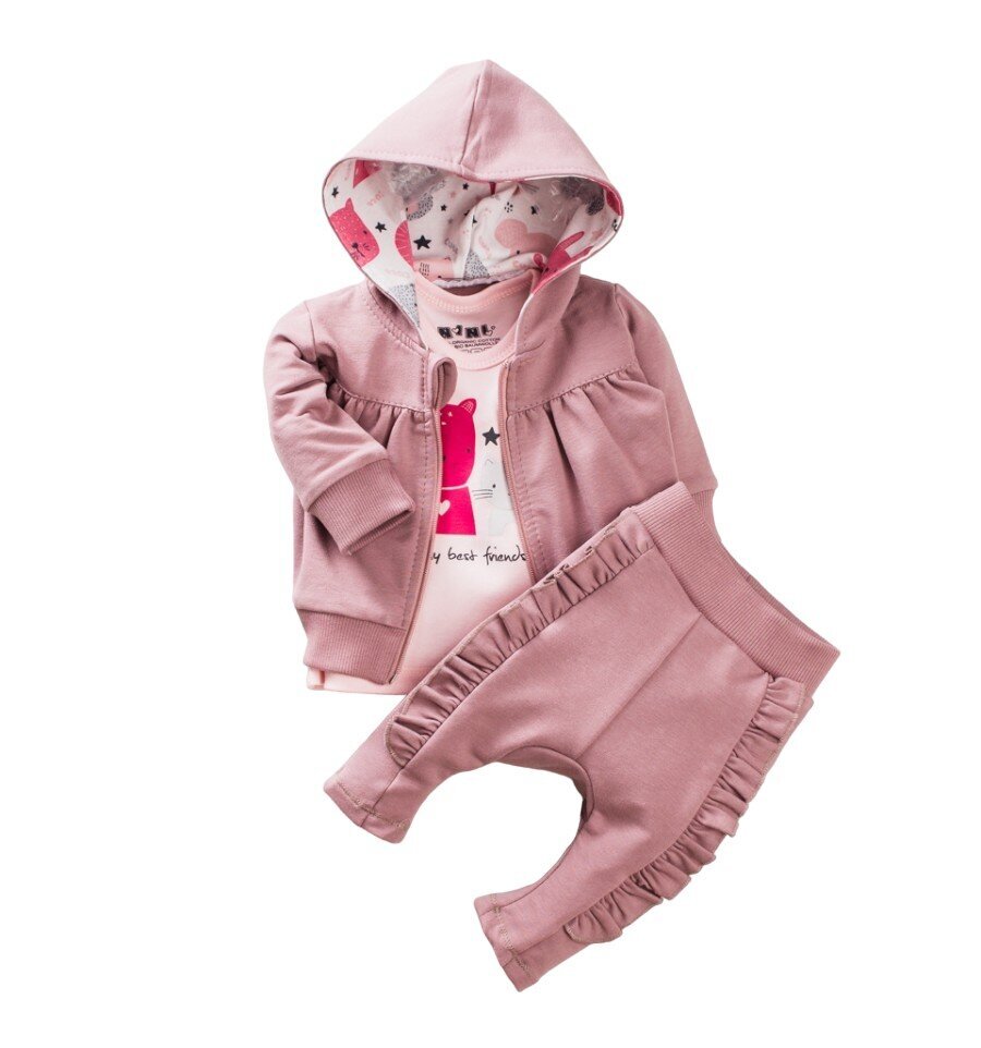 Komplekts meitenei Nini BB-14, rozā cena un informācija | Apģērbu komplekti jaundzimušajiem | 220.lv