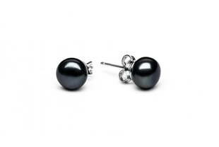 Stella jewelry sudraba auskari sievietēm ar pērlēm EFB08N-B cena un informācija | Auskari | 220.lv