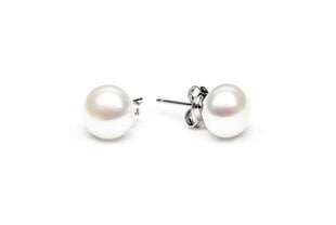Stella jewelry sudraba auskari sievietēm ar pērlēm EFB09N-W cena un informācija | Auskari | 220.lv