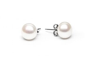 Stella jewelry sudraba auskari sievietēm ar pērlēm EFB10N-W cena un informācija | Auskari | 220.lv