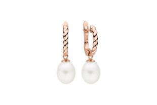 Sudraba auskari sievietēm Stella jewelry ar pērlēm, SK22516GEL-W cena un informācija | Auskari | 220.lv