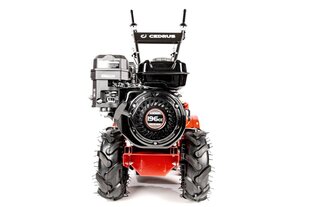 Бензиновый культиватор для почвы CEDRUS 48cm Loncin H200 цена и информация | Культиваторы, мотоблоки, аэраторы | 220.lv