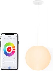 Dimmable integrālā griestu lampa cena un informācija | Lustras | 220.lv