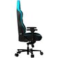 Lorgar Base 311 melns/zils ergonomisks krēsls цена и информация | Biroja krēsli | 220.lv