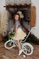 Velosipēds meitenēm Silver Moon, 16", zaļš cena un informācija | Balansa velosipēdi | 220.lv