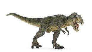 Figūra Papo T-Rex, zaļa cena un informācija | Rotaļlietas zēniem | 220.lv