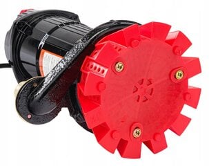 Lietus ūdens sūknis Red Technic RTPDW0072, 650W цена и информация | Насосы для грязной воды | 220.lv