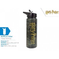 Dzeramā pudele Harijs Poters, 750 ml цена и информация | Фляги для воды | 220.lv