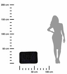 Vannas istabas paklājs, 40x60 cm cena un informācija | Vannas istabas aksesuāri | 220.lv