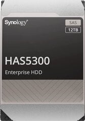 Synology HAS5300-12T цена и информация | Внутренние жёсткие диски (HDD, SSD, Hybrid) | 220.lv