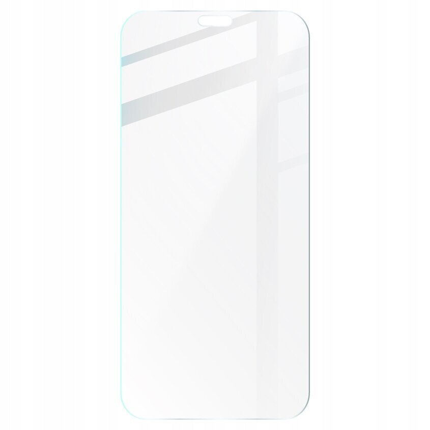 Bizon iPhone 11 Pro / Xs cena un informācija | Ekrāna aizsargstikli | 220.lv