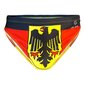 Peldbikses vīriešiem Vācijas karogs cena un informācija | Peldšorti, peldbikses | 220.lv