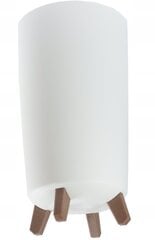 Цветочный горшок Дуда-Поль 24 х 24 х 45 см, белый цена и информация | Вазоны | 220.lv