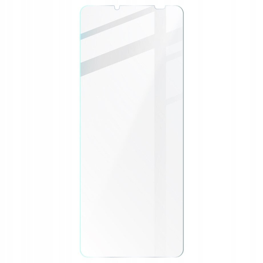 Bizon Xperia 10 V цена и информация | Ekrāna aizsargstikli | 220.lv