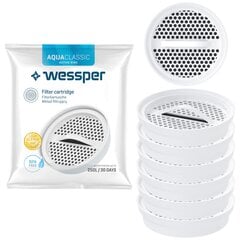 Disku ūdens filtrs Wessper Actitex, 6 gab. cena un informācija | Ūdens attīrīšanas sistēmas un filtri | 220.lv