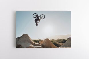Glezna, 100x150 cm Ekstrēmais BMX sports цена и информация | Картины | 220.lv