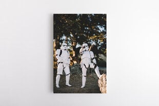 Репродукция Штурмовики (Stormtroopers) 100x150 см цена и информация | Картины | 220.lv