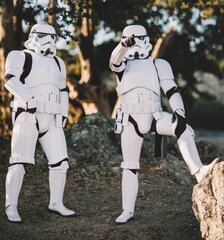 Репродукция Штурмовики (Stormtroopers) 100x150 см цена и информация | Картины | 220.lv