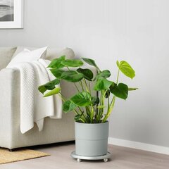 Цветочный горшок IKEA Grey 24см Имитация бетона цена и информация | Вазоны | 220.lv