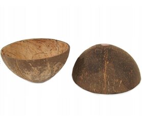 Puķu pods Coconuts, 11x6 cm cena un informācija | Puķu podi | 220.lv