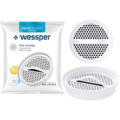 Дисковый фильтр для воды Wessper Actitex 1х цена и информация | Фильтры для воды, чистящие устройства | 220.lv