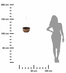 Dabīgā koka ECO koksnes piekaramais pods 24xh14 cm cena un informācija | Puķu podi | 220.lv