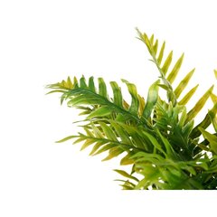 Декоративное растение Пальмовое Пластик Цемент 12 x 45 x 12 cm (6 штук) цена и информация | Вазоны | 220.lv