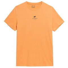 Vīriešu T-krekls 4F, dažādu krāsu, 2 gab. cena un informācija | Vīriešu T-krekli | 220.lv