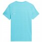 Vīriešu T-krekls 4F, dažādu krāsu, 2 gabali cena un informācija | Vīriešu T-krekli | 220.lv