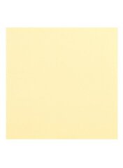 Krāsains kartons, A3, 20 gab., 170 g/m2, vaniļas krāsa cena un informācija | Burtnīcas un papīra preces | 220.lv