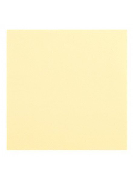 Krāsains kartons, A3, 20 gab., 170 g/m2, vaniļas krāsa цена и информация | Burtnīcas un papīra preces | 220.lv