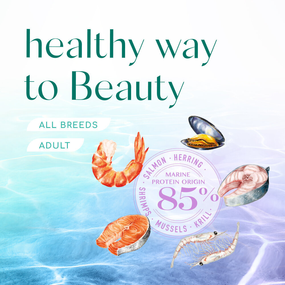 Optimeal™ Beauty Harmony bezgraudu barība ar jūras veltēm, 10 kg cena un informācija | Sausā barība suņiem | 220.lv