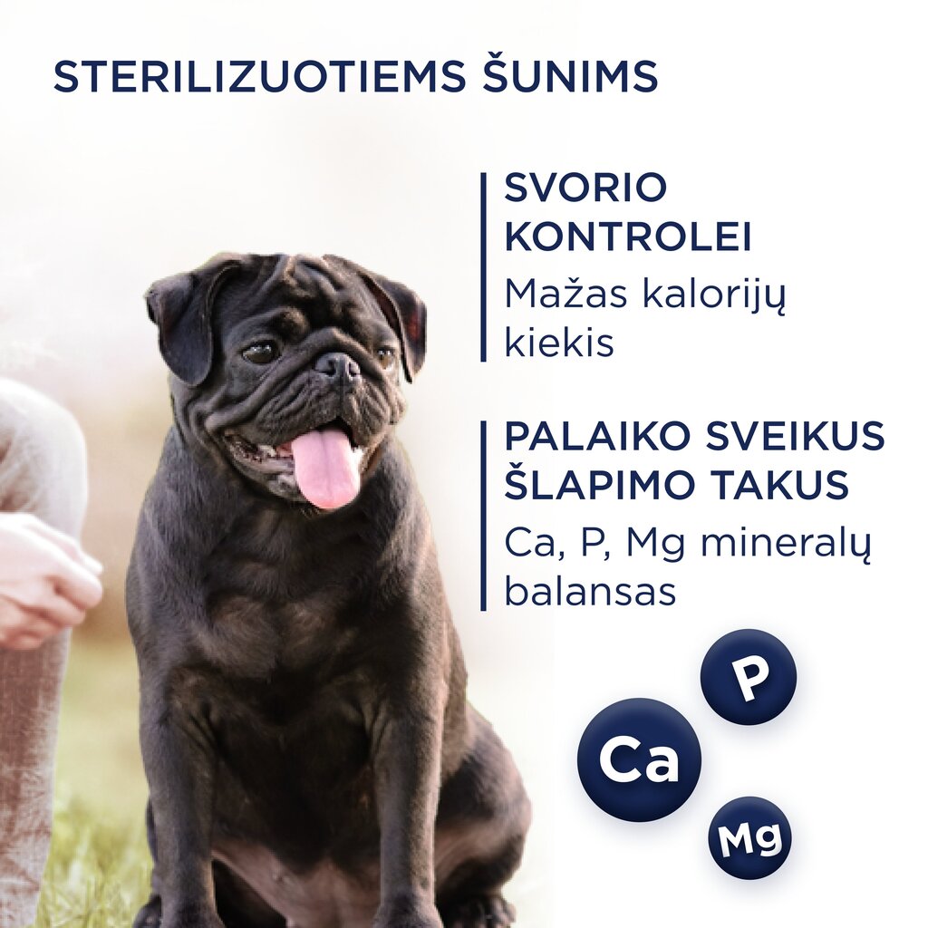 Club 4 Paws Premium pilnvērtīga barība pieaugušiem mazo šķirņu, sterilizētiem vai kastrētiem suņiem un suņiem ar noslieci uz aptaukošanos ar augstu tītara gaļas saturu Light, 5 kg cena un informācija | Sausā barība suņiem | 220.lv