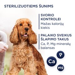 Club 4 Paws Premium pilnvērtīga sausā barība pieaugušiem vidējo un lielo šķirņu sterilizētiem un uz aptaukošanos tendētiem suņiem, ar augstu tītara gaļas saturu Light, 5 kg cena un informācija | Sausā barība suņiem | 220.lv