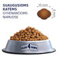 Club 4 Paws Premium pilnvērtīga barība pieaugušiem mājas kaķiem Indoor 4 in 1, 2 kg цена и информация | Sausā barība kaķiem | 220.lv