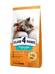 Club 4 Paws Premium pieaugušiem sterilizētiem kaķiem ar lasi, 14 kg cena un informācija | Sausā barība kaķiem | 220.lv