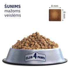 Club 4 Paws Premium pieaugušajiem, mazo šķirņu suņiem, 2 kg cena un informācija | Sausā barība suņiem | 220.lv