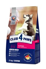 Club 4 Paws для всех пород с курицей, 2 кг цена и информация | Сухой корм для собак | 220.lv