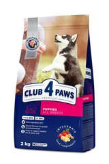 Club 4 Paws visām šķirnēm ar vistu, 2 kg cena un informācija | Sausā barība suņiem | 220.lv