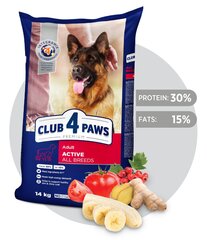 CLUB 4 PAWS Premium полнорационный сухой корм для активных взрослых собак всех пород "ACTIVE", 14 кг цена и информация | Сухой корм для собак | 220.lv