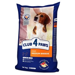 Club 4 Paws Premium pilnvērtīga sausā barība pieaugušiem vidēju šķirņu suņiem , 14kg цена и информация | Сухой корм для собак | 220.lv