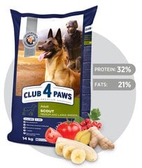 CLUB 4 PAWS Premium полнорационный сухой корм для взрослых собак рабочих, средних и крупных пород "SCOUT", 14 кг цена и информация | Сухой корм для собак | 220.lv