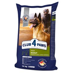 CLUB 4 PAWS Premium полнорационный сухой корм для взрослых собак рабочих, средних и крупных пород "SCOUT", 14 кг цена и информация | Сухой корм для собак | 220.lv