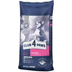 CLUB 4 PAWS Premium полнорационный сухой корм для щенков всех пород с высоким содержанием курицы, 20 кг цена и информация | Сухой корм для собак | 220.lv